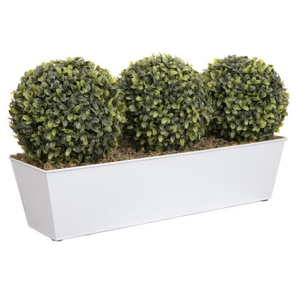 Artificial Topiary Triple Ball Aglaia Boxwood in White Slanted Tin Window Box 54cm/21in - A1049