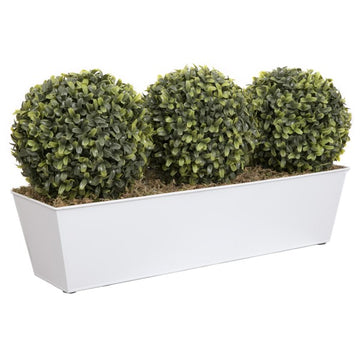 Artificial Topiary Triple Ball Aglaia Boxwood in White Slanted Tin Window Box 54cm/21in - A1049