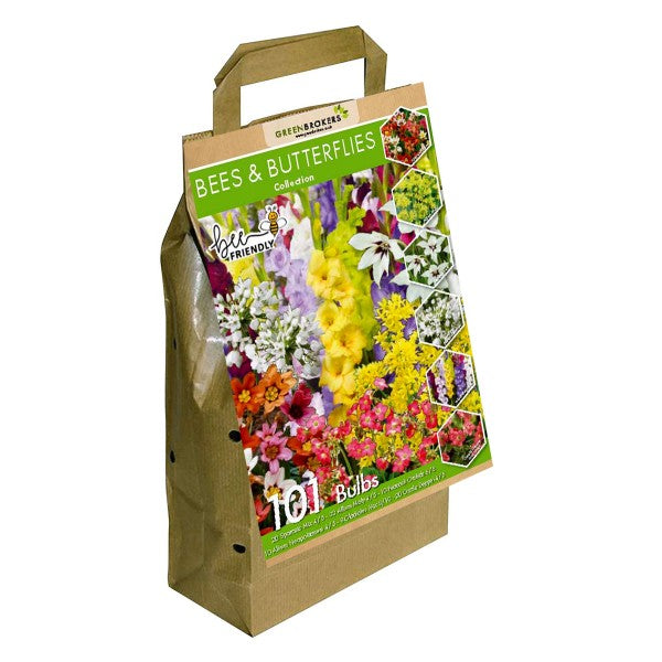 Bee and Butterfly Summer Collection Big Value Pack 6 Flowering Varieties Mixed Colour (101 Bulbs) - B1311