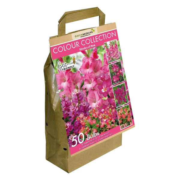 Pink Colour Collection Summer Flowering Bulbs (50 Bulbs) - B1309