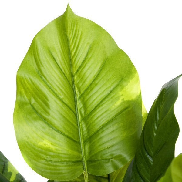 Artificial Real Touch Pothos Plant in Black Pot 75cm/2ft - A1164