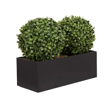Artificial Topiary Double Ball Aglaia Boxwood in Black Straight Tin Window Box 35cm/14in - A1071-GB