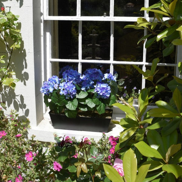 Artificial Blue Hydrangea in Black Metal Window Box -A1385