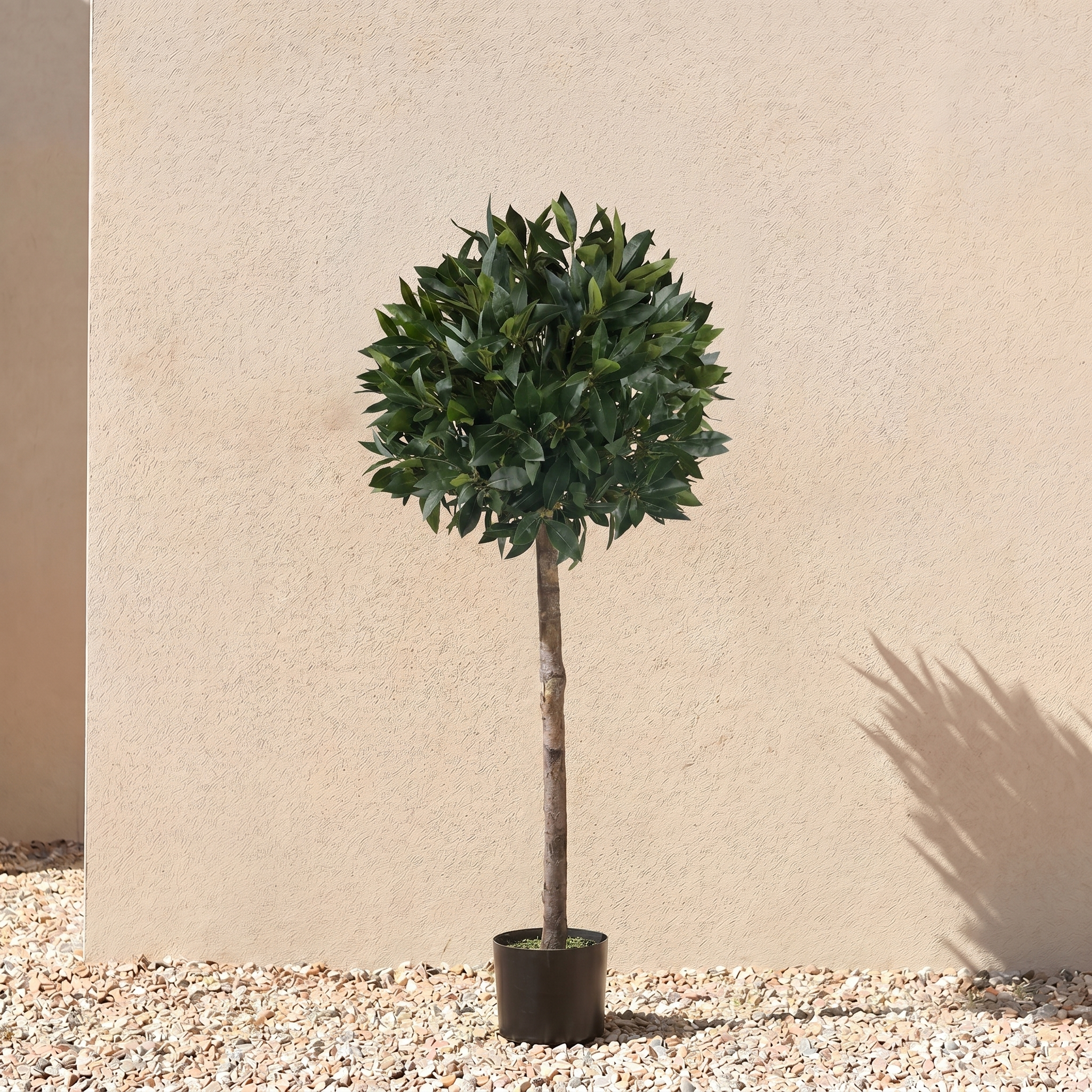 Bay Trees (Set of 2) 4ft/124 cm - With Real Wood Trunk, Natural Leaf and Brown Berries - A1002