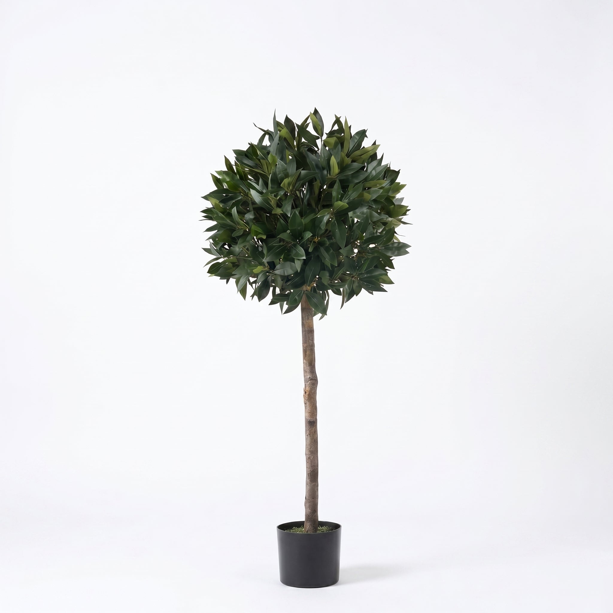 Bay Trees (Set of 2) 4ft/124 cm - With Real Wood Trunk, Natural Leaf and Brown Berries - A1002