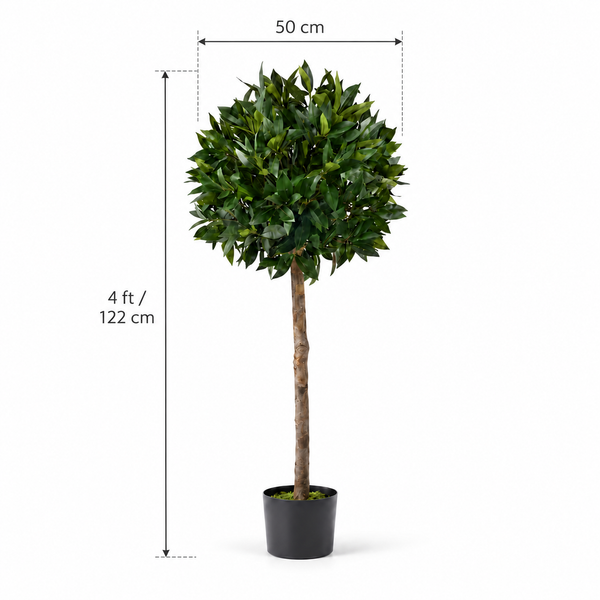 Bay Trees (Set of 2) 4ft/124 cm - With Real Wood Trunk, Natural Leaf and Brown Berries - A1002