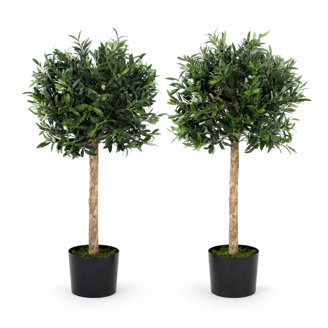 Olive Trees (Set of 2) 90cm/3ft - With A Real Wood Trunk - A1003