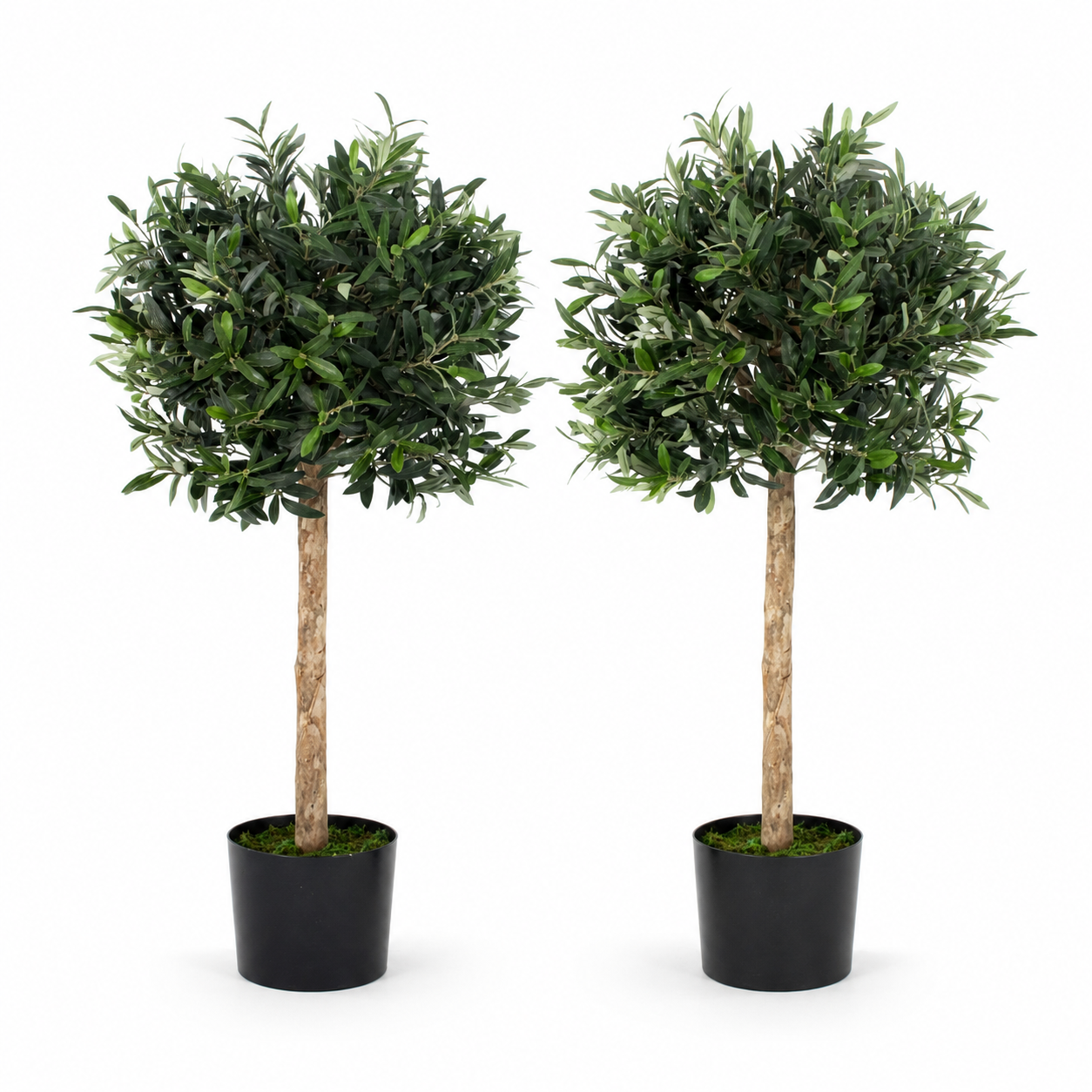 Olive Trees (Set of 2) 90cm/3ft - With A Real Wood Trunk - A1003