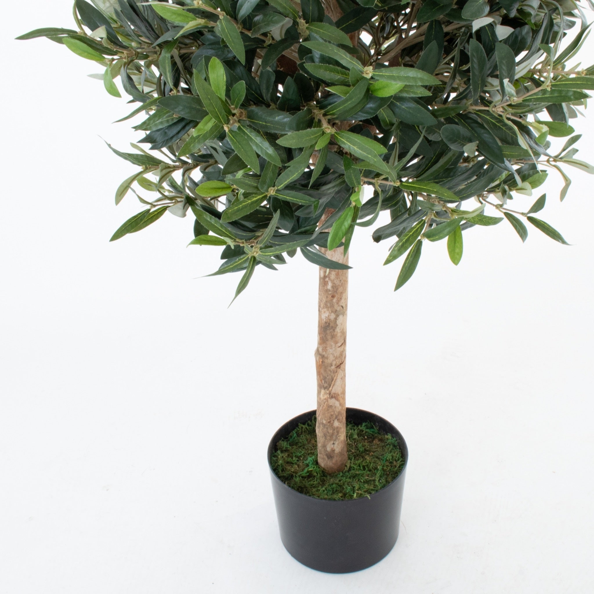 Olive Trees (Set of 2) 90cm/3ft - With A Real Wood Trunk - A1003