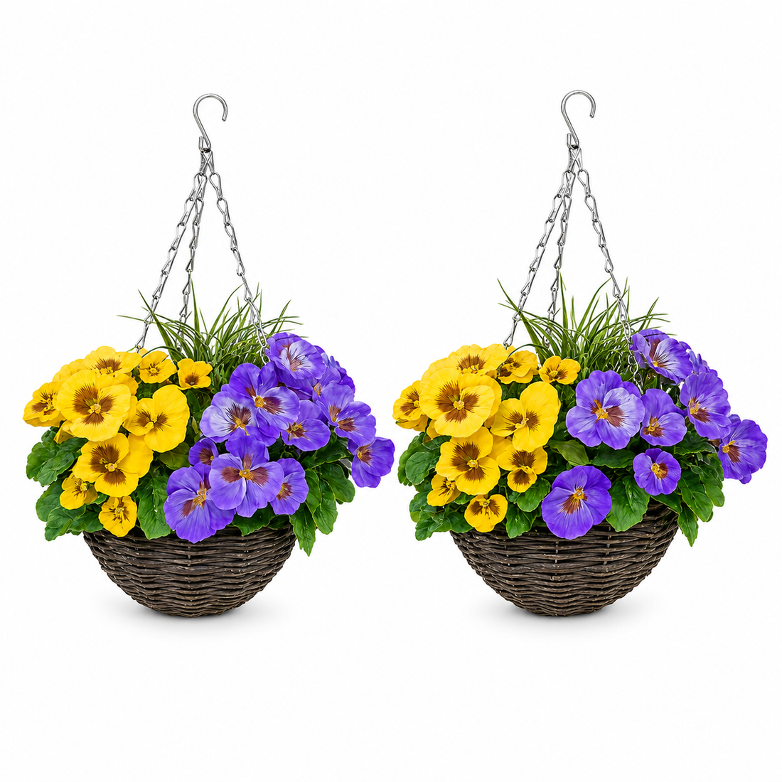 Purple & Yellow Pansy Round Rattan Hanging Basket (Set of 2) 25cm - A1010