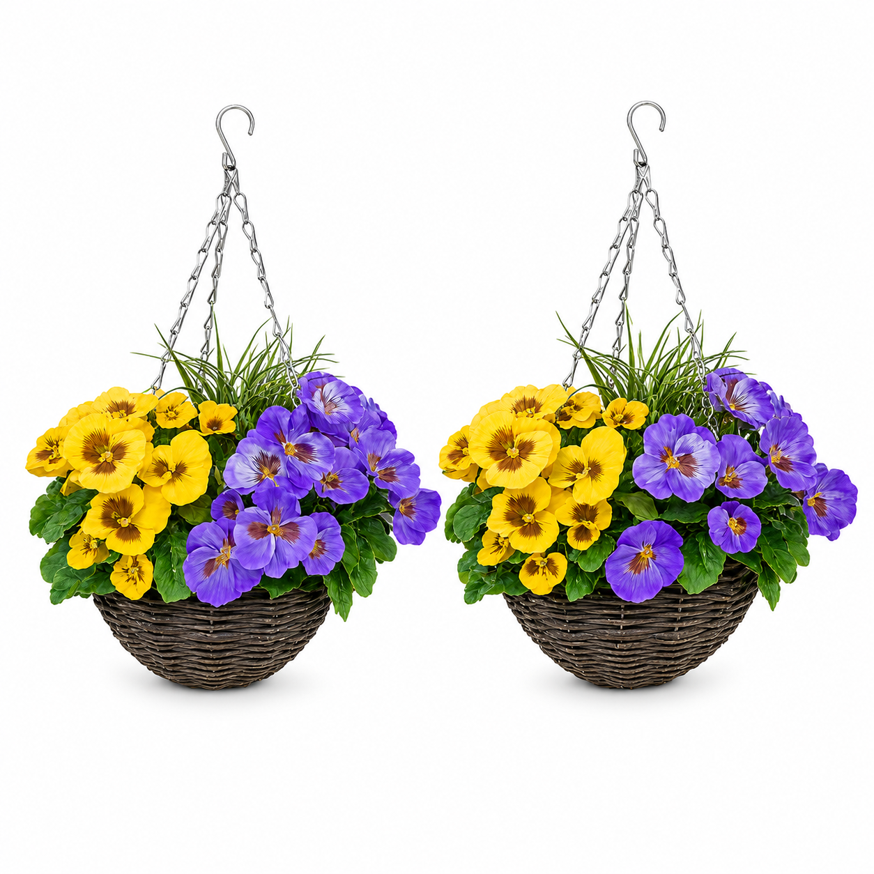 Purple & Yellow Pansy Round Rattan Hanging Basket (Set of 2) 25cm - A1010