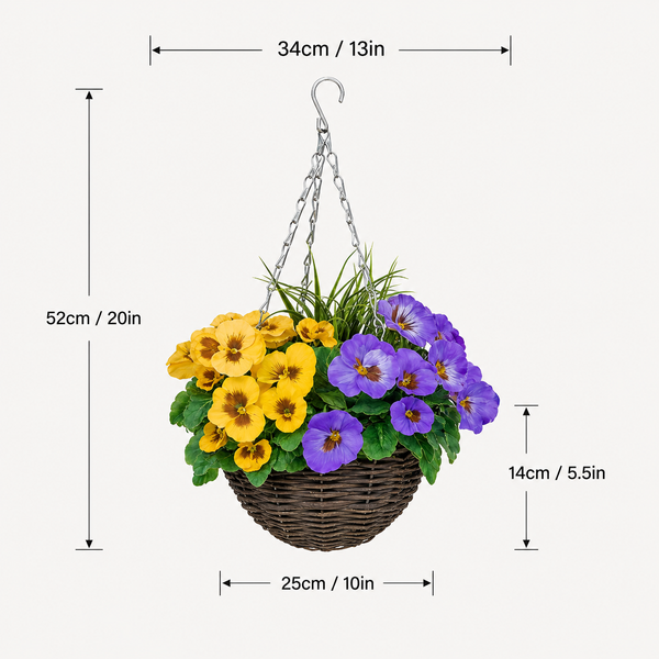 Purple & Yellow Pansy Round Rattan Hanging Basket (Set of 2) 25cm - A1010