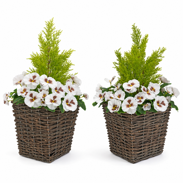 White Pansy Conifer Rattan Patio Planter (Set of 2) 60cm/24in - A1014