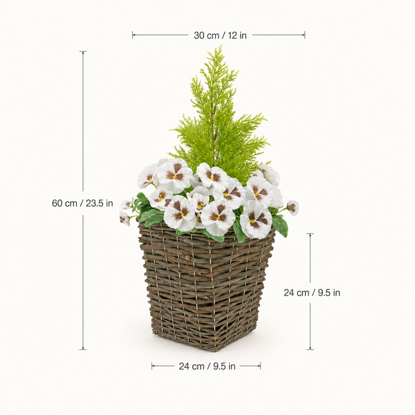 White Pansy Conifer Rattan Patio Planter (Set of 2) 60cm/24in - A1014