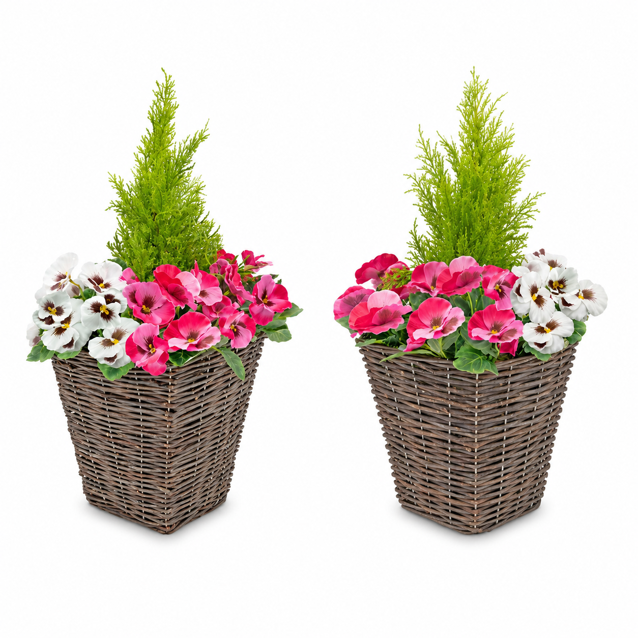 Pink & White Pansy Rattan Patio Planter (Set of 2) 60cm/24in - A1015
