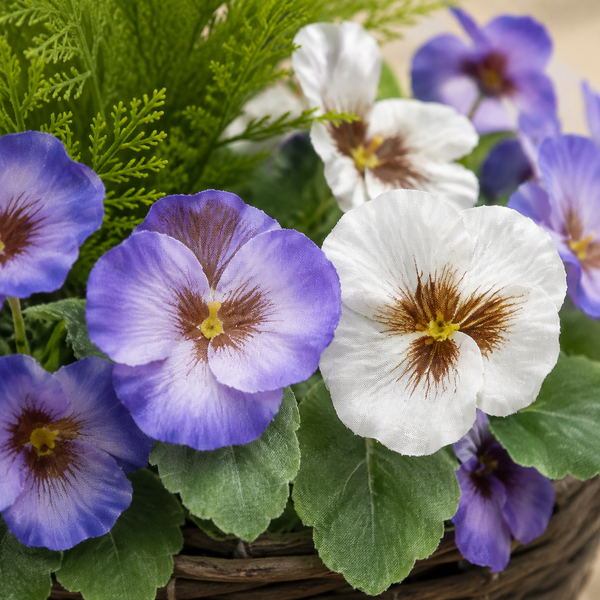 Purple & White Pansy Rattan Patio Planter (Set of 2) 60cm/24in - A1016