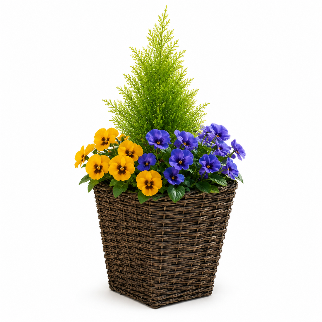 Purple & Yellow Rattan Patio Planter (Set of 2) 60cm/24in - A1017