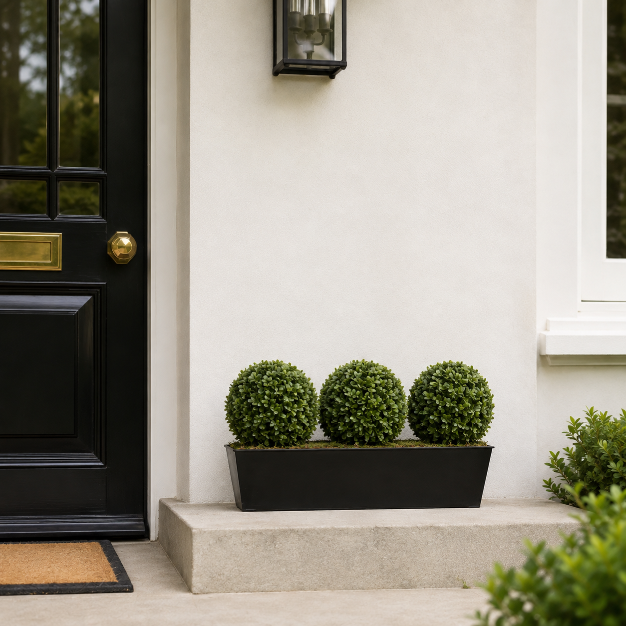 Topiary Triple Ball Aglaia Boxwood in Black Slanted Tin Window Box 54cm/21in - A1022