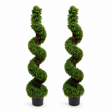 Spiral Boxwood Topiary Tree (Set of 2) 120cm/4ft - A1025