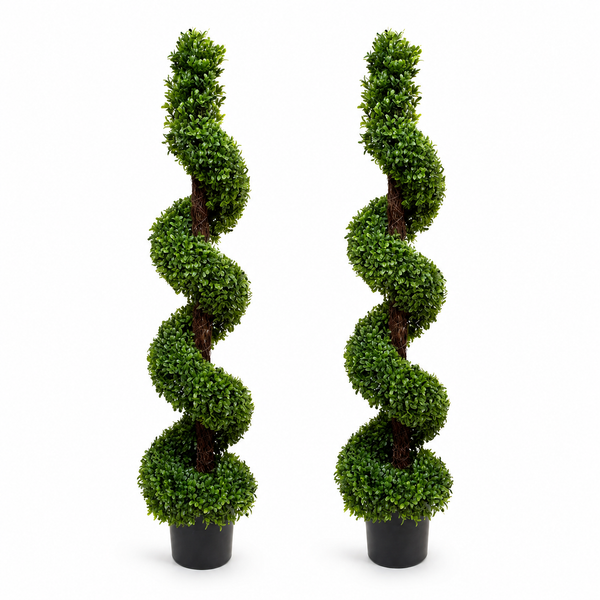 Spiral Boxwood Topiary Tree (Set of 2) 120cm/4ft - A1025