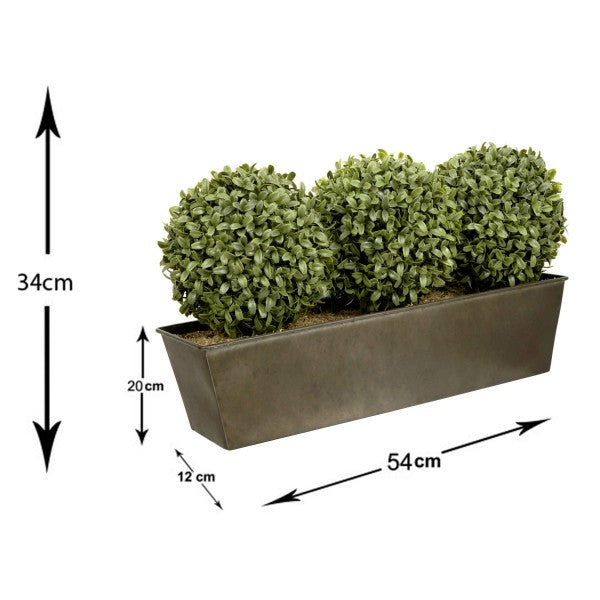 Topiary Triple Ball Aglaia Boxwood in Rustic Slanted Tin Window Box 54cm/21in - A1026