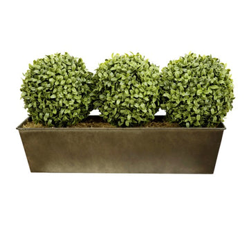 Topiary Triple Ball Aglaia Boxwood in Rustic Slanted Tin Window Box 54cm/21in - A1026