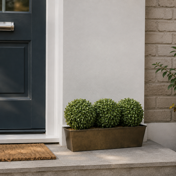 Topiary Triple Ball Aglaia Boxwood in Rustic Slanted Tin Window Box 54cm/21in - A1026