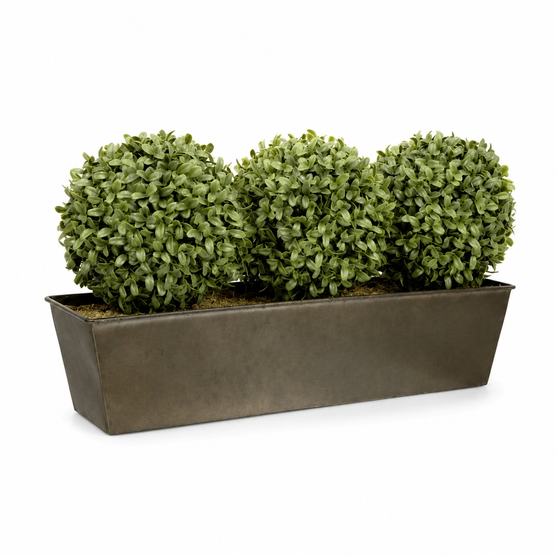 Topiary Triple Ball Aglaia Boxwood in Rustic Slanted Tin Window Box 54cm/21in - A1026