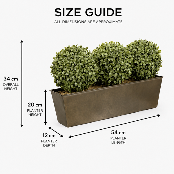 Topiary Triple Ball Aglaia Boxwood in Rustic Slanted Tin Window Box 54cm/21in - A1026