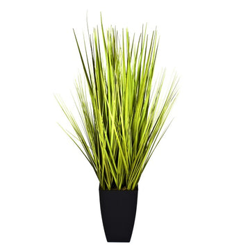 Decorative Grass Plant in Black Planter 90cm/3ft - A1028