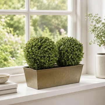 Topiary Double Ball Aglaia Boxwood in Rustic Slanted Tin Window Box 35cm/14in - A1029