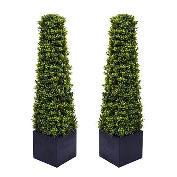 Premium Quality Boxwood Topiary Pyramid Trees in Black Square Planter 90cm/3ft (Set of 2) - A1030