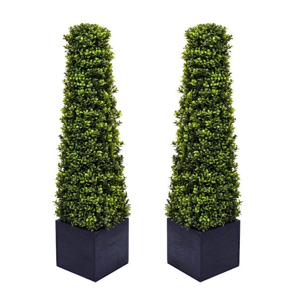 Premium Quality Boxwood Topiary Pyramid Trees in Black Square Planter 90cm/3ft (Set of 2) - A1030