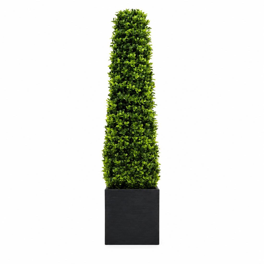 Premium Quality Boxwood Topiary Pyramid Trees in Black Square Planter 90cm/3ft (Set of 2) - A1030