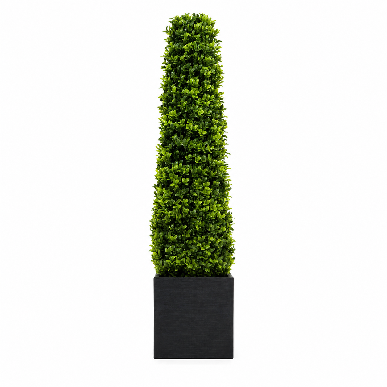 Premium Quality Boxwood Topiary Pyramid Trees in Black Square Planter 90cm/3ft (Set of 2) - A1030