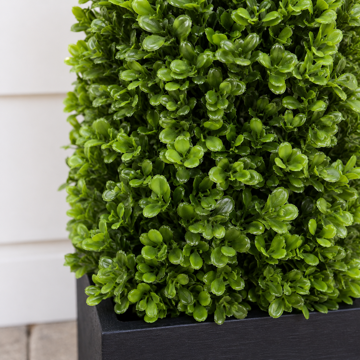Premium Quality Boxwood Topiary Pyramid Trees in Black Square Planter 90cm/3ft (Set of 2) - A1030