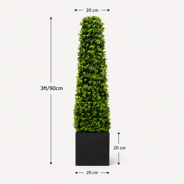Premium Quality Boxwood Topiary Pyramid Trees in Black Square Planter 90cm/3ft (Set of 2) - A1030