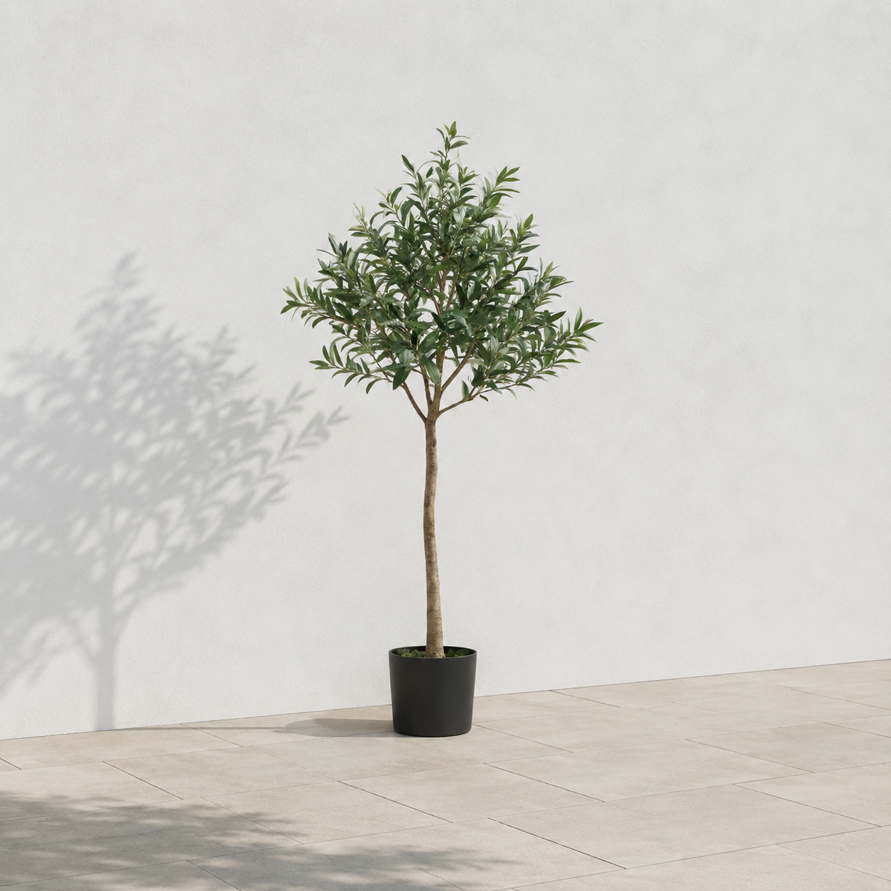 Olive Tree 5ft/150cm - Premium Quality & Natural Appearance - A1034