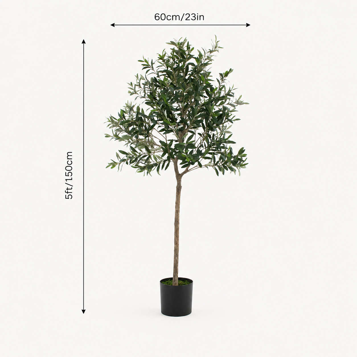Olive Tree 5ft/150cm - Premium Quality & Natural Appearance - A1034