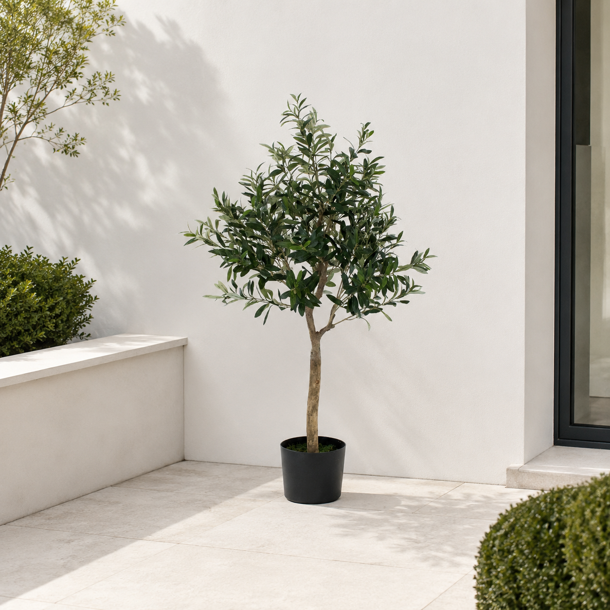 Olive Tree 4ft/120 cm - Premium Quality & Natural Appearance - A1037