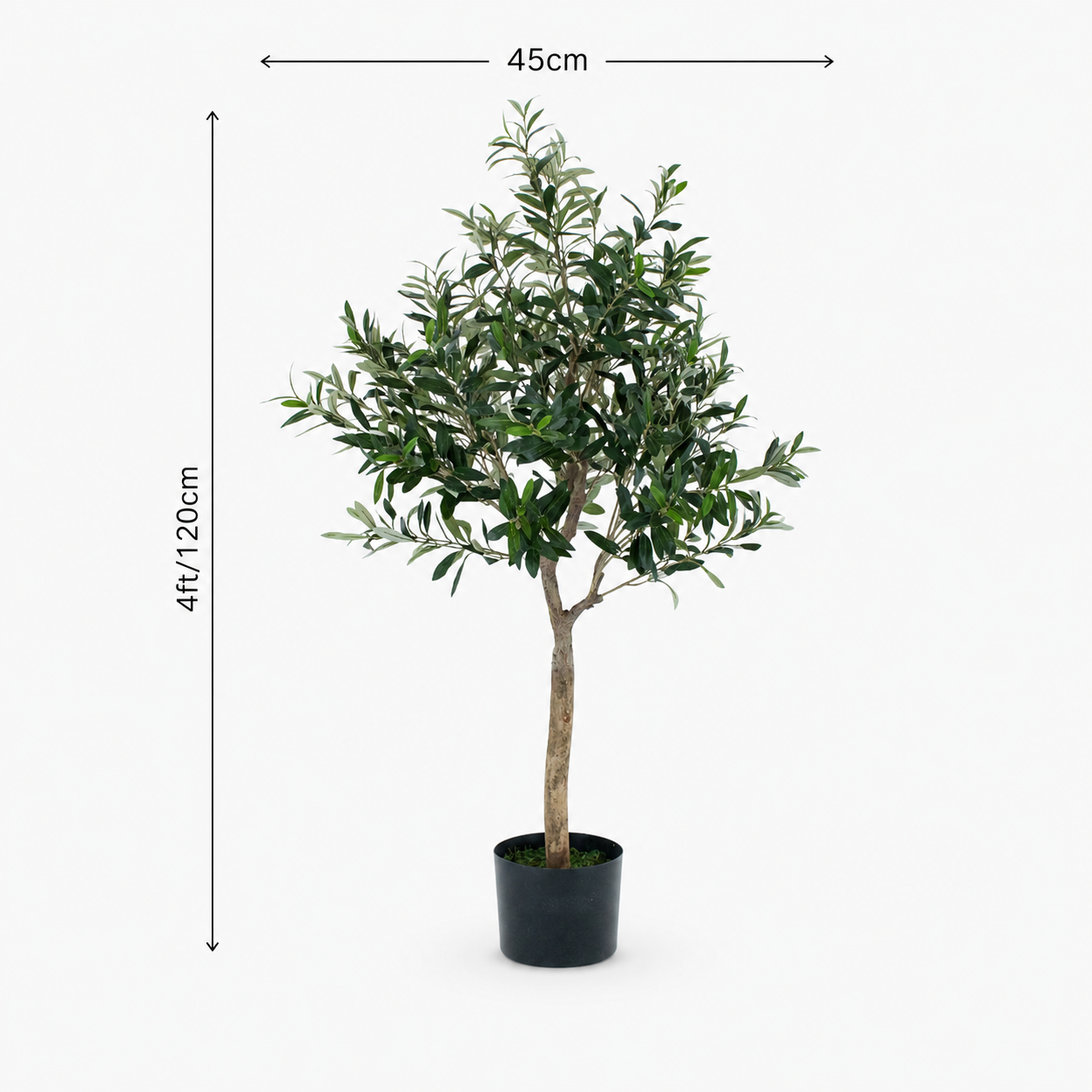 Olive Tree 4ft/120 cm - Premium Quality & Natural Appearance - A1037
