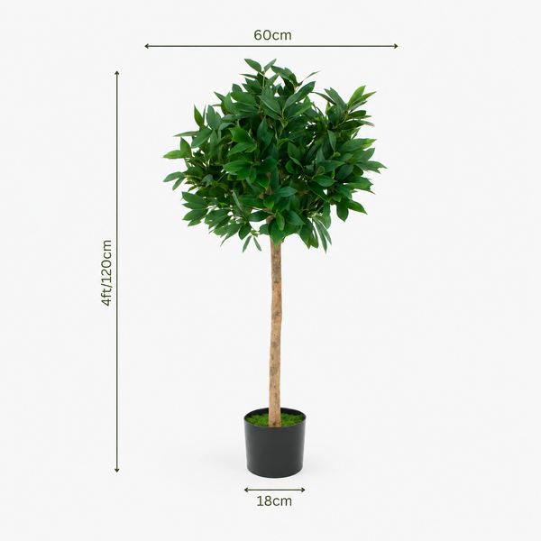 Bay Laurel Tree 4ft/120 cm - With Real Wood Trunk, Natural Leaf and Brown Berries - A1038