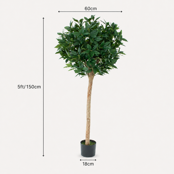 Bay Laurel Tree 5ft/150 cm - With Real Wood Trunk, Natural Leaf and Brown Berries - A1039