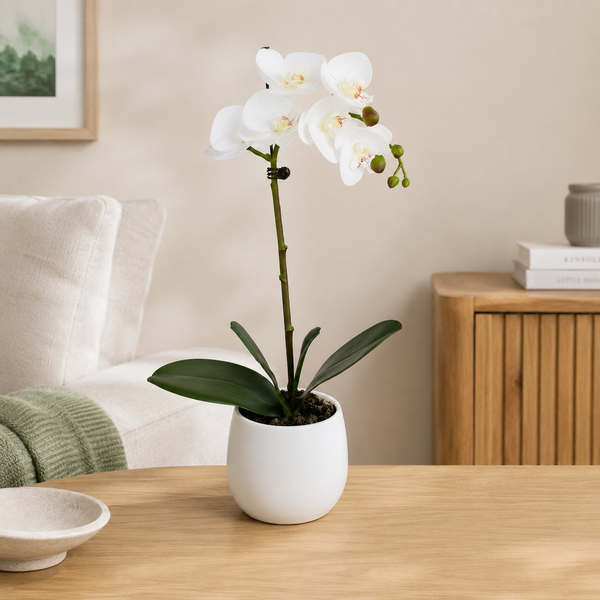 Elegant Real Touch Single Stem White Orchid in Round White Ceramic Pot (46cm) - A1040