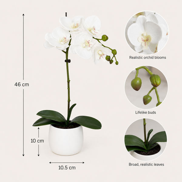 Elegant Real Touch Single Stem White Orchid in Round White Ceramic Pot (46cm) - A1040
