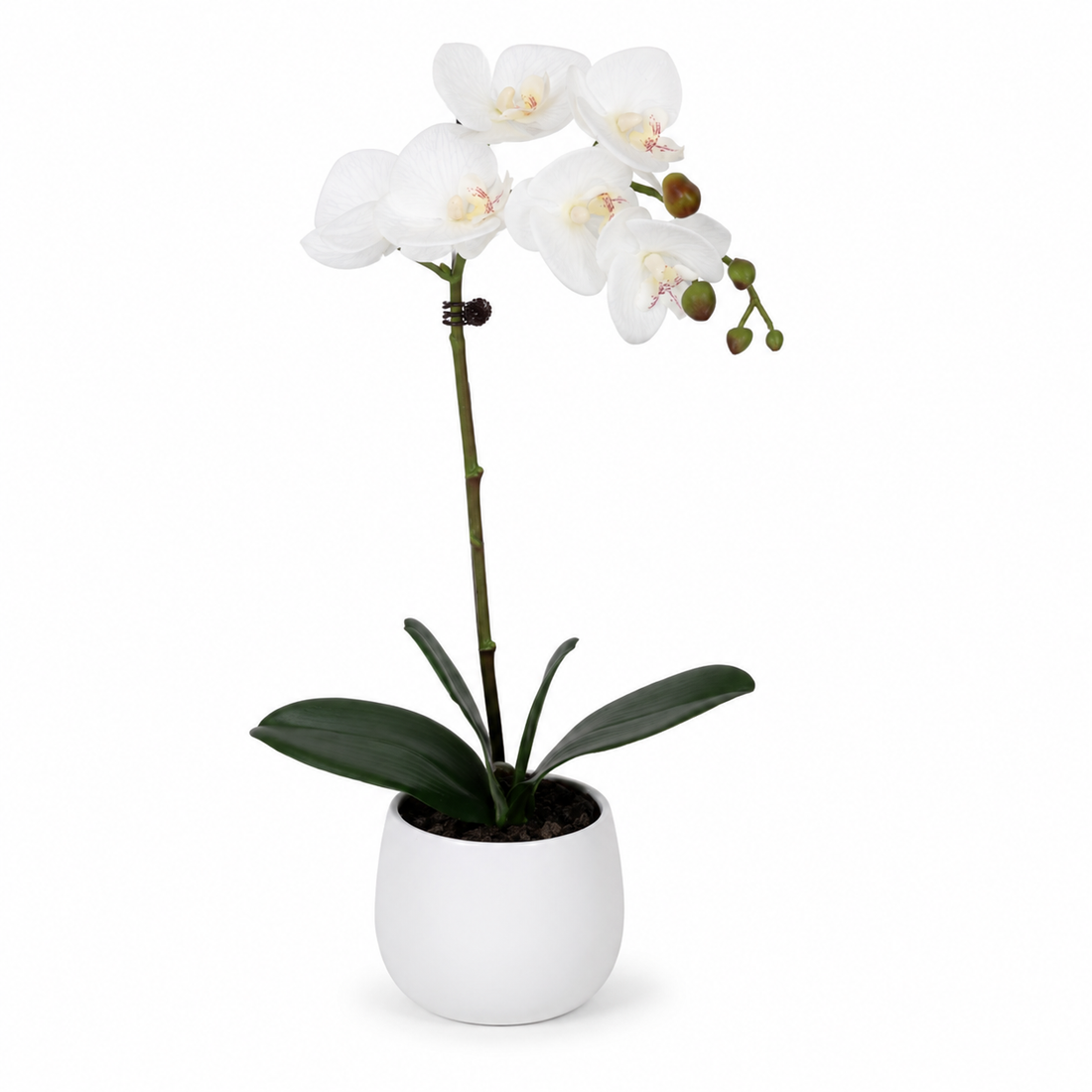 Elegant Real Touch Single Stem White Orchid in Round White Ceramic Pot (46cm) - A1040