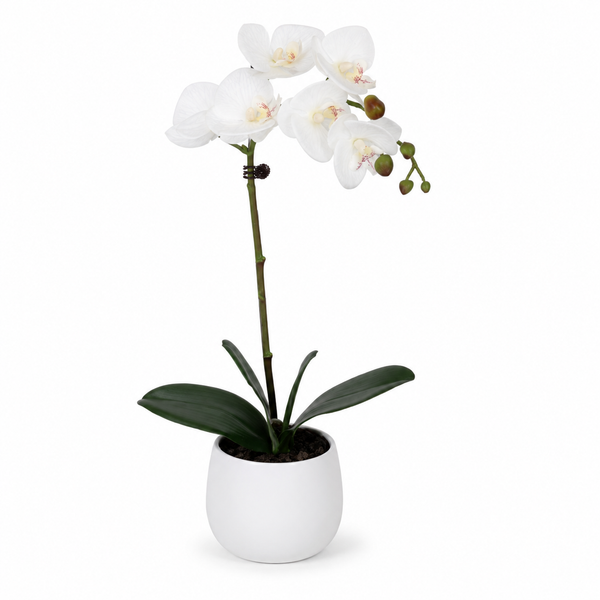 Elegant Real Touch Single Stem White Orchid in Round White Ceramic Pot (46cm) - A1040