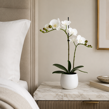 Elegant Real Touch Double Stem White Potted Orchid in Round White Ceramic Pot (46cm) - A1041