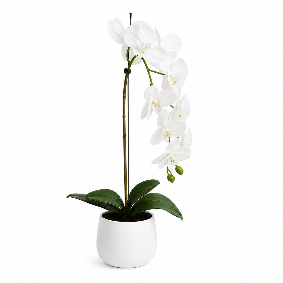 Elegant Real Touch Large White Single Stem Orchid in Round White Ceramic Pot (65cm) - A1043