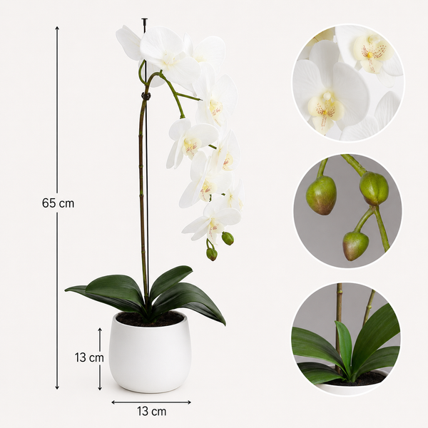 Elegant Real Touch Large White Single Stem Orchid in Round White Ceramic Pot (65cm) - A1043